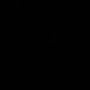 Meet your Posher, Denis